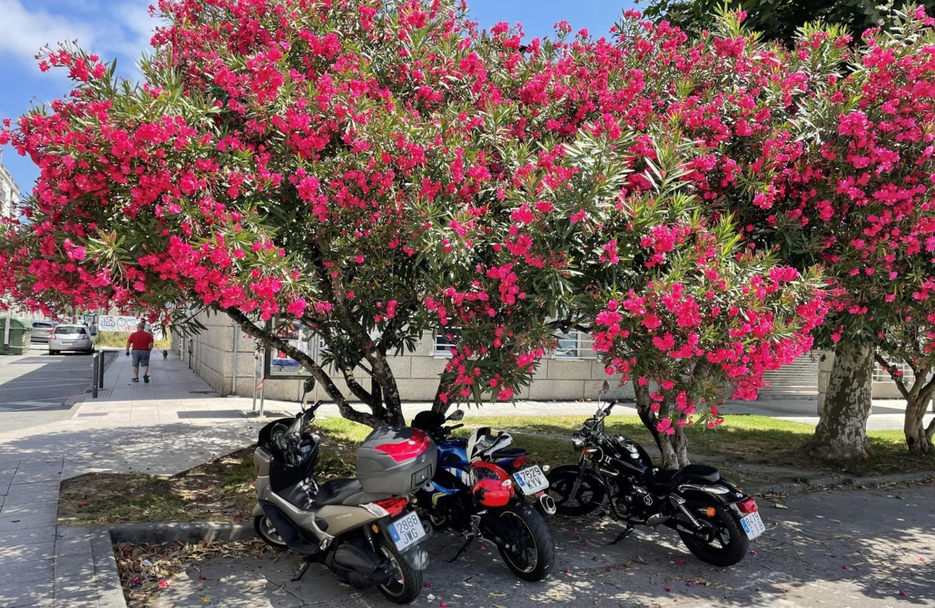 Atico Deluxe Muy Cerca De La Playa, Parking Gratis * Moana